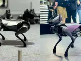 Los perros robot CyberDog 2 de Xiaomi y Dynamic 1 de Tecno.