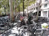 Bicicleteros en Sevilla