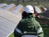 Planta fotovoltaica de Iberdrola.