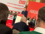 El secretario general del PSOE de Sevilla, Javier Fernández, durante el comité provincial del partido.