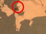 El círculo rojo rodeada la seta marciana.