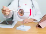 Un doctor con un modelo de un ojo humano.