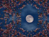 Luna llena en plena floración.