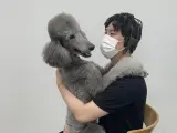 Actividad asistida por animales (abrazo) realizada por un participante del estudio