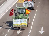 Las decenas de tractores que han entrado en la capital procedían de cinco columnas, desde cinco puntos de acceso, que se han concentrado frente al Ministerio para la Transición Ecológica.