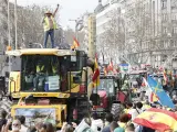 Agricultores y ganaderos participan en la tractorada de protesta en Madrid este domingo.