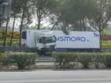 Imagen del camión que arrolló un control de la Guardia Civil en la AP-4 en Sevilla.