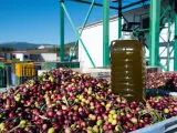 Una garrafa de aceite sobre cientos de aceitunas, en la &ldquo;Almazara Tradicional&rdquo;, en Gata (C&aacute;ceres), a 24 de noviembre de 2023, en C&aacute;ceres, Extremadura (Espa&ntilde;a). Las previsiones de producci&oacute;n de aceite de oliva en Espa&ntilde;a se sit&uacute;an en 765.300 toneladas para la campa&ntilde;a 2023/24, un 15 % m&aacute;s que la anterior y un 34 % por debajo de la media de las &uacute;ltimas cuatro 24 NOVIEMBRE 2023;ACEITUNA;ACEITE;OLIVA;EXTREMADURA;RECOLECCI&Oacute;N;AGRICULTURA; Gustavo Valiente / Europa Press (Foto de ARCHIVO) 24/11/2023