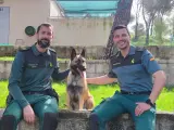 David Esteban y Jonás González, guías de perros del servicio cinológico de la Guardia civil.