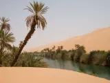 El oasis Ubari, en el Sáhara libio, es una fuente de agua dulce y de palmeras datileras para el pueblo bereber de los tuareg que se encuentra en la región..