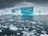 Icebergs a la deriva en la Antártida.