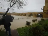 Las intensas precipitaciones de los últimos días dejan unos ríos que amenazan ahora con desbordarse. En Córdoba, la crecida del río Guadalquivir ha obligado a activar la alerta roja y varios recintos de algunas localidades han sido precintados.