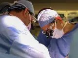 Paciente de 62 años recibe un riñón de cerdo en un innovador trasplante en Boston