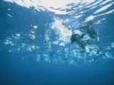Plástico en el mar.