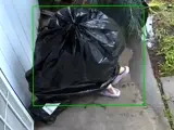 El ladrón se disfrazó de bolsa de la basura.