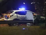 La Guardia Civil ha detenido en la localidad de Soto de Ribera a un hombre de 46 años que habría matado a su padre y le habría cortado la cabeza con un hacha, lanzándola a los turismos de la carretera.