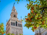Sevilla es la ciudad con m&aacute;s naranjos del mundo.