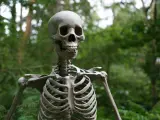 Hoy cumpliría 154 años este simpático esqueleto.