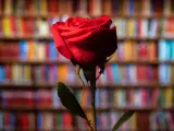 En el Día de Sant Jordi se regalan libros y rosas.