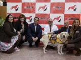 Purina lanza “Alianza Purina Terapia Animal”, iniciativa que promueve la implementación de la terapia asistida con perros en centros sanitarios.