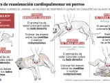 La técnica de realizar las compresiones (30) y las ventilaciones (2) varía dependiendo del tamaño y la constitución de los perros.