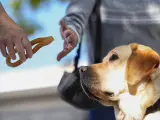 Un tutor rechazando comida que le ofrecen a su perro gu&iacute;a.