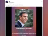 Una tuitera convierte a bolero la carta sorpresa de Pedro Sánchez.