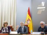 Grande-Marlaska durante la rueda prensa, junto a Susana Crisóstomo, subsecretaria del M. del Interior, (i) y Pere Navarro, director de la DGT (d)