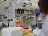 Una investigadora de Ibima en el laboratorio.