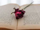 Libro abierto con una rosa seca.