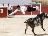 Imagen de archivo de un espectáculo taurino en la Comunidad de Madrid.
