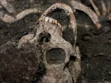 Víctima exhumada en el barranco de Víznar antes del robo.