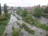 El río Ter a su paso por Roda de Ter (Osona).