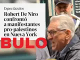 Este v&iacute;deo no muestra a Robert De Niro enfrent&aacute;ndose a manifestantes pro-Palestina.