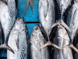 Existen una serie de recomendaciones en el consumo de atún en lata para reducir al máximo el porcentaje de mercurio consumido