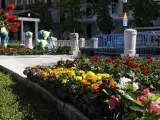 Distintas variedades de plantas en la plaza de Oriente, las cuales decorarán las calles y parques de Madrid.