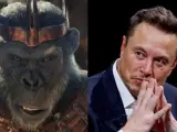 Proximus Caesar y Elon Musk