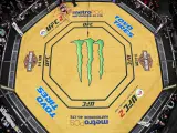 Octágono de UFC 200