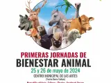 Cartel Jornadas Bienestar Animal en Alcorcón.