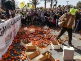 Los agricultores protagonizaron masivas manifestaciones entre febrero y abril