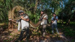 Pitón gigante capturada en Florida