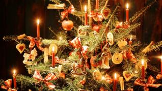 Encendido de las luces del árbol de Navidad