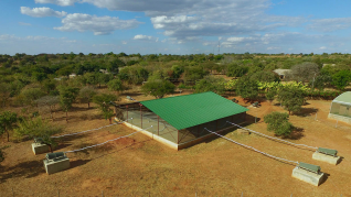 Vista aérea de la jaula de mosquitos en Zambia.
