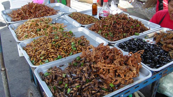 Mercado callejero de insectos comestibles en Tailandia.