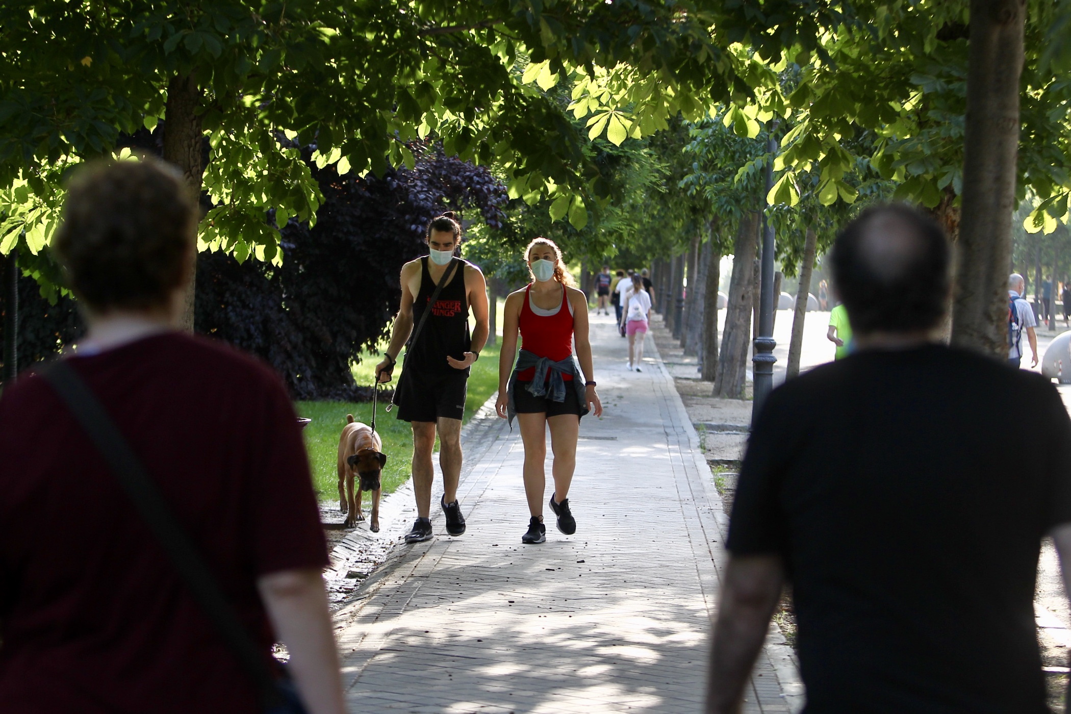 A couple walks with their dog inside the Retiro park, one of the 19 large green spaces that have opened its doors, as Madrid enters phase 1 of the coronavirus de-escalation.
