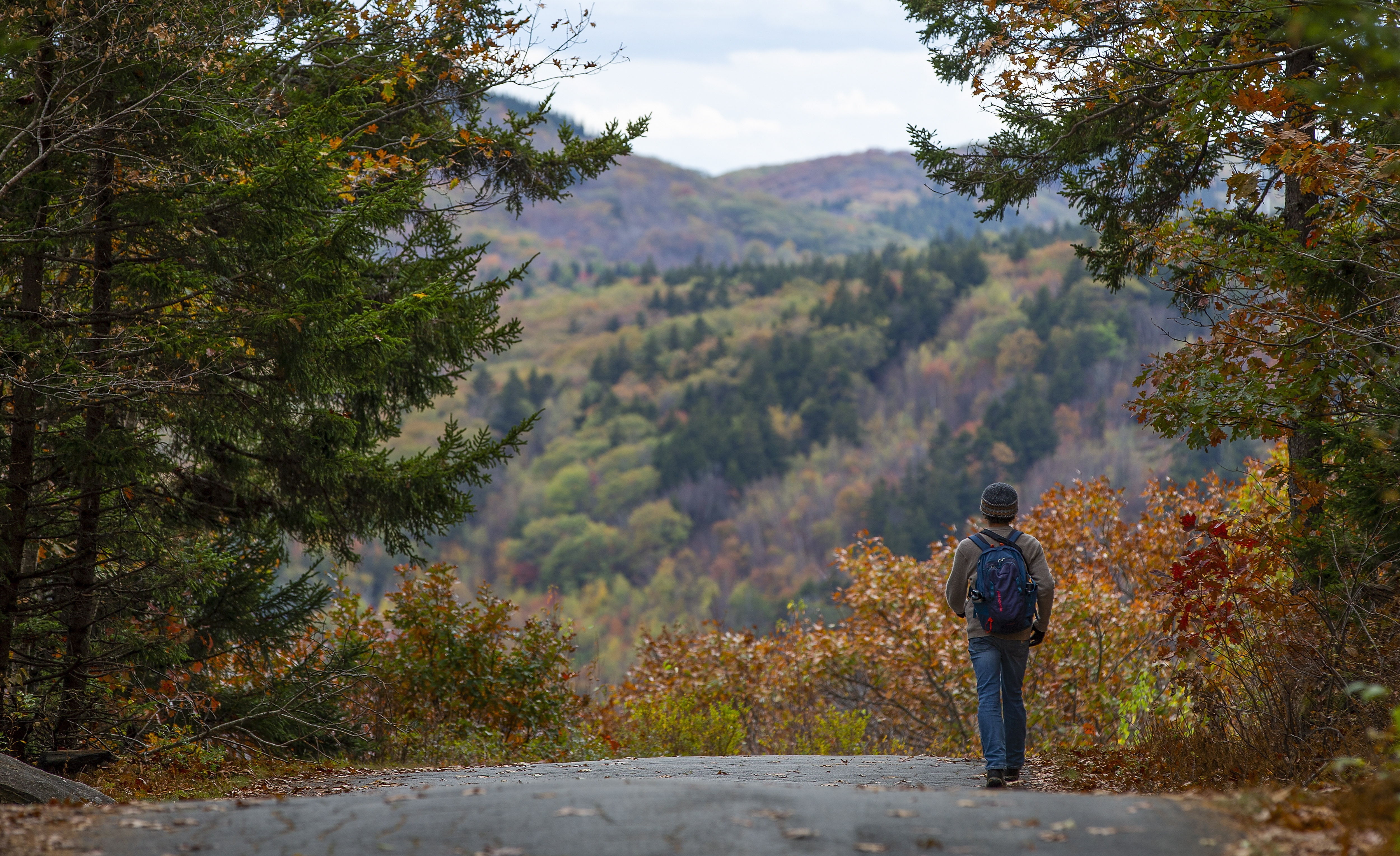 Fall colors accompany this young man as he walks along a trail in Peterborough, New Hampshire (USA).