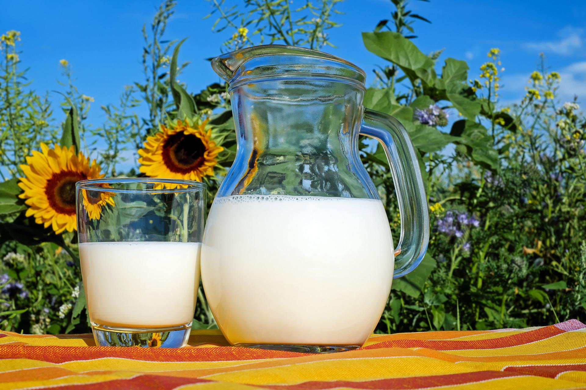 Dairy products are great allies for the bones, help control blood pressure and are very healthy, so they are welcome in any daily diet.  Both cheeses, milk or yogurts are highly recommended.