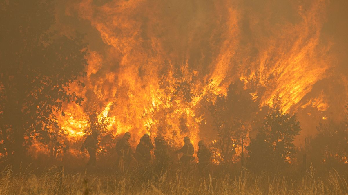 El incendio de Zamora es el mayor desde que se registra en España.