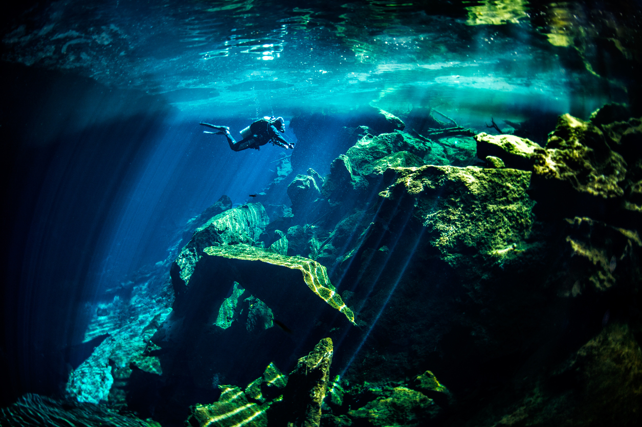 Diving in a cenote in Mexico.