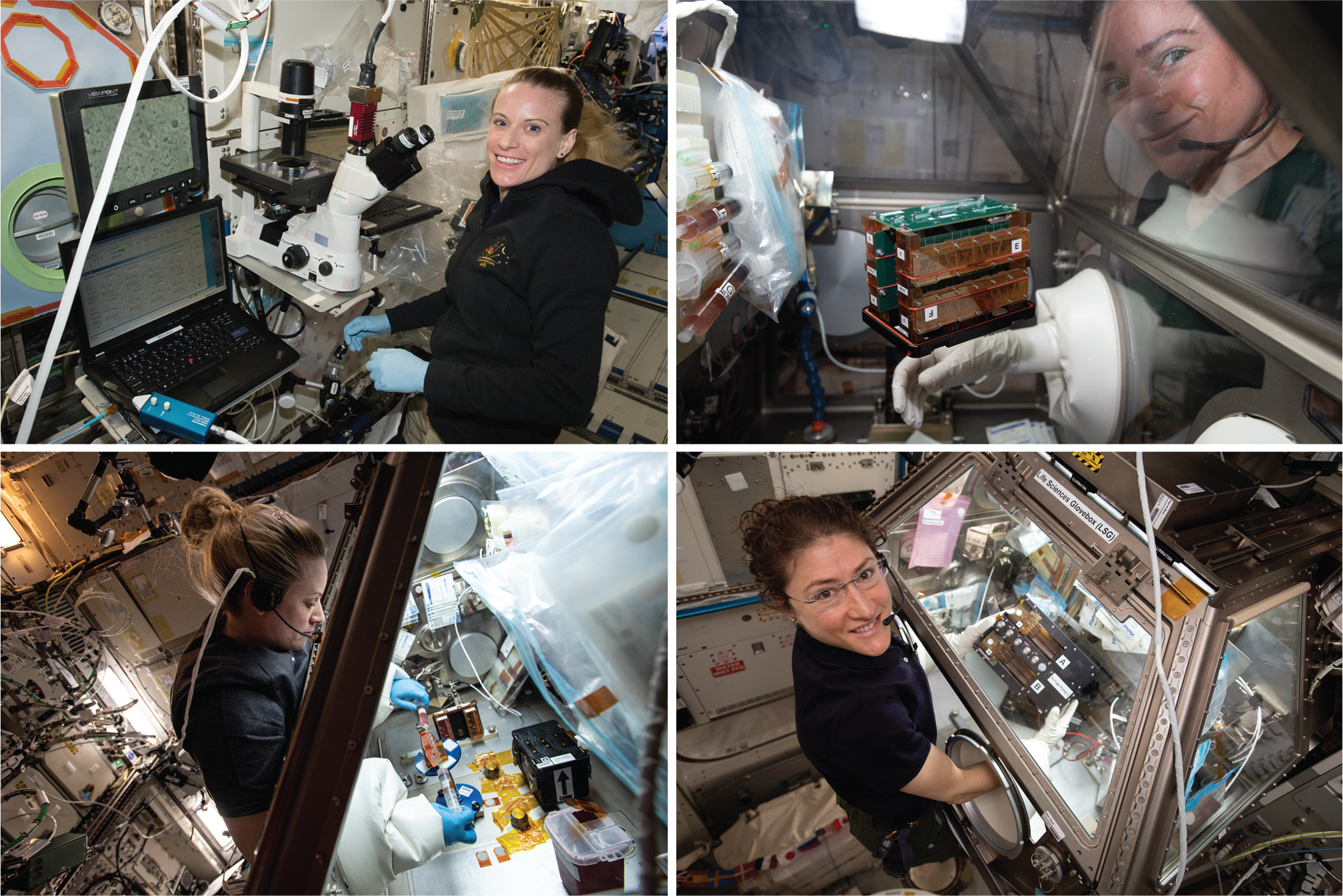 Images of astronauts doing stem cell research on the International Space Station.